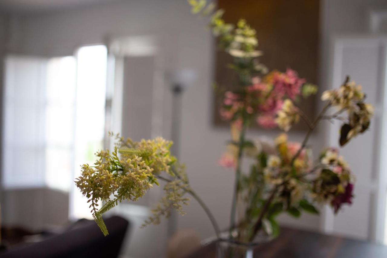 Apartment Seville Mirador Puerta Carmona Zewnętrze zdjęcie